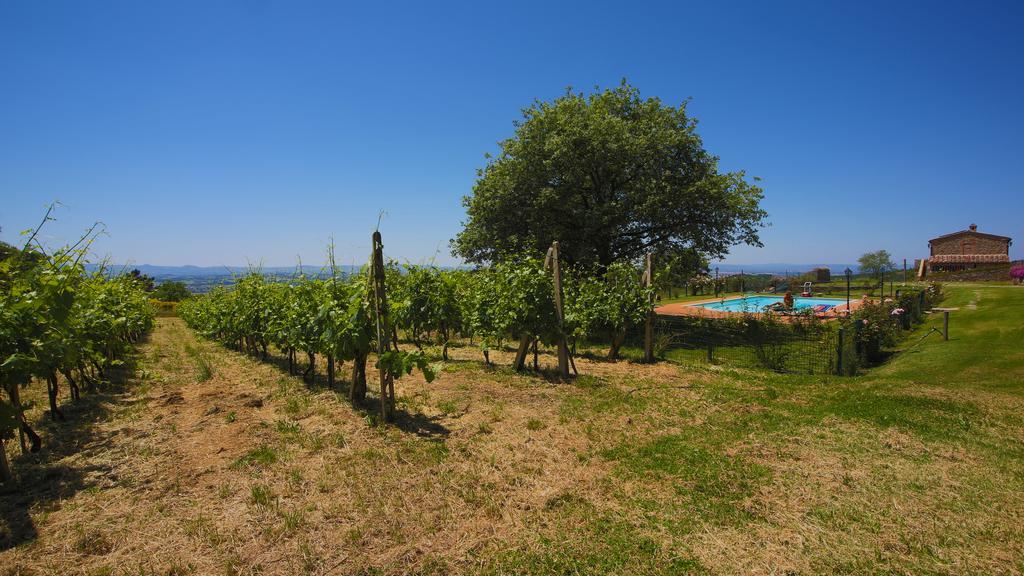 Villa Tenuta Angelici Winery Casa Contea With Pool And Panoramic Pool Cortona Terontola Zimmer foto